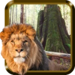 wild animals hd android application logo